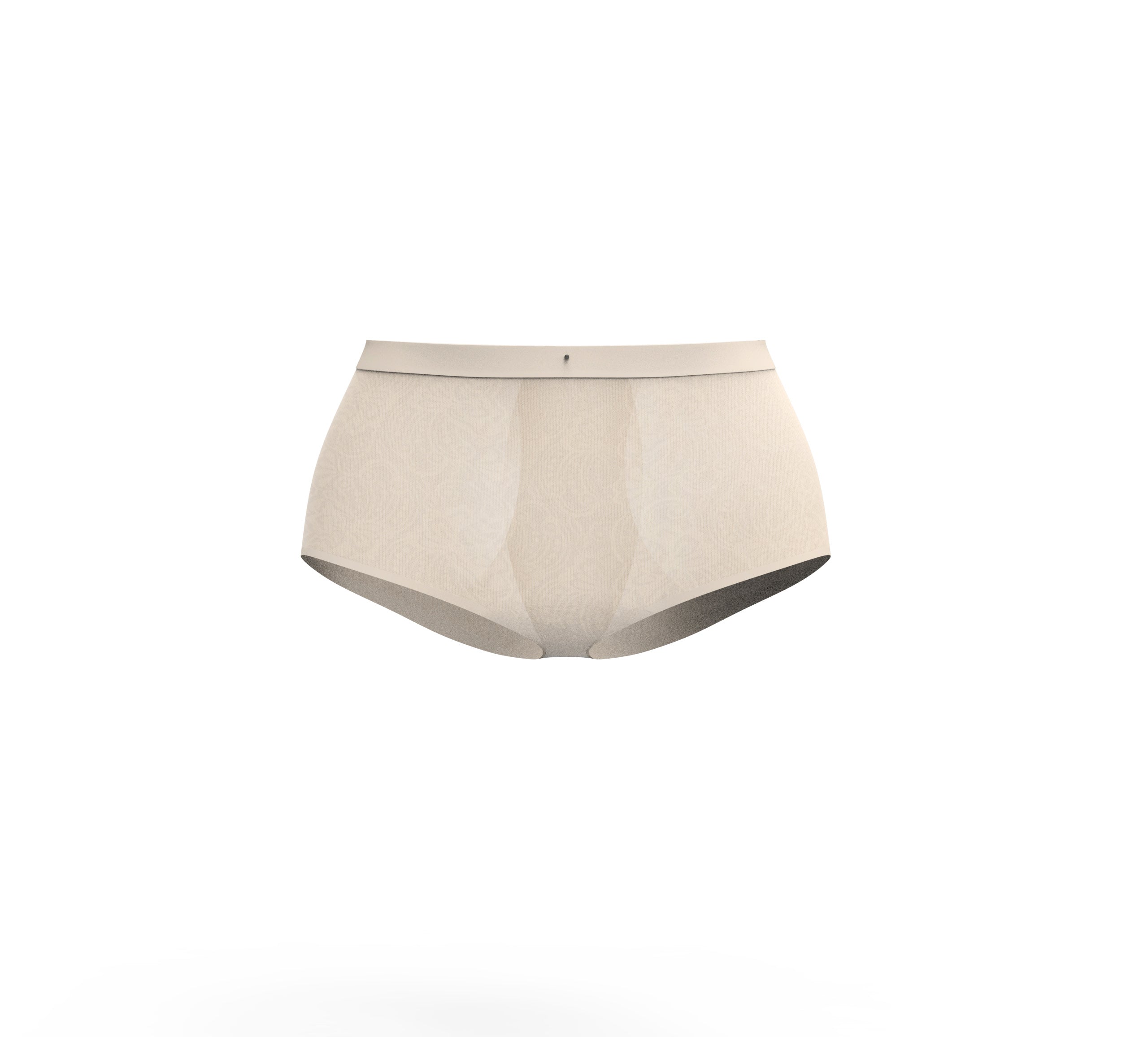 Shapewear Control Panties
