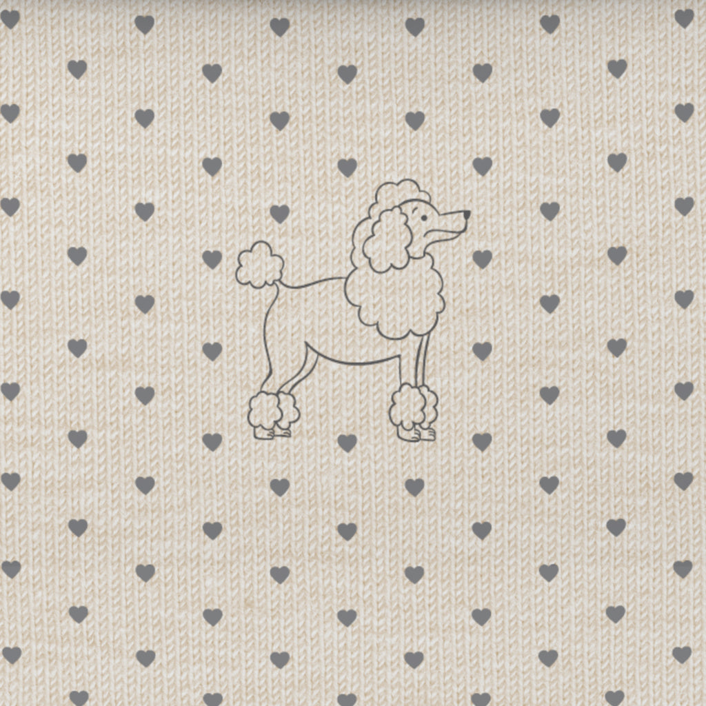 5 Pack Classic Tween Underwear