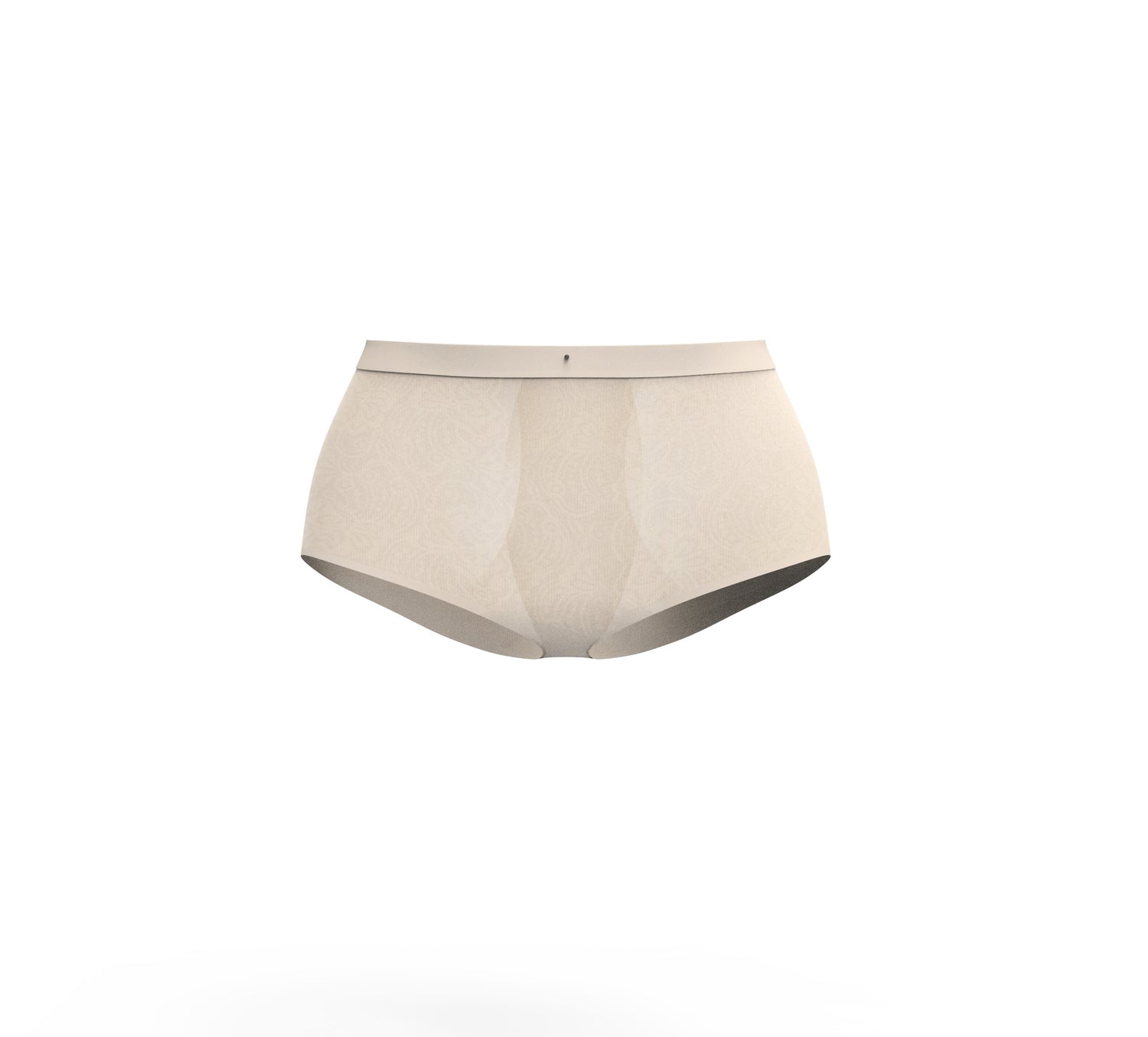 Shapewear Control Panties