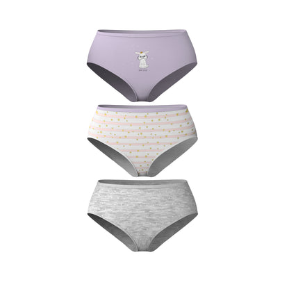 3 Pack Classic Toddler Underwear